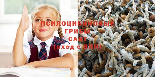 a pvp Новокубанск