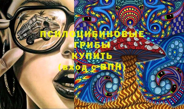 a pvp Новокубанск