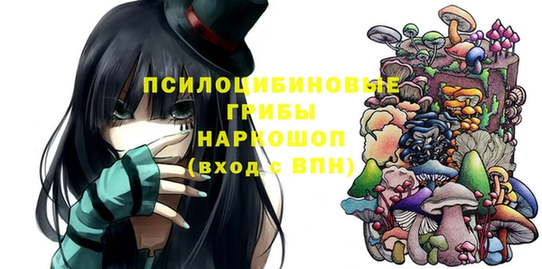 mix Новодвинск
