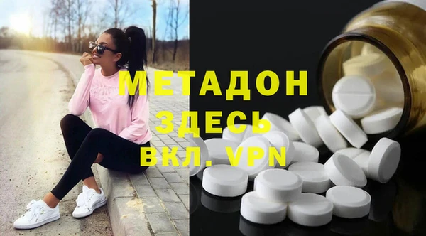прущие грибы Нея