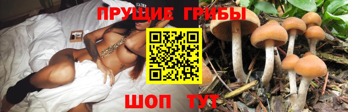 Галлюциногенные грибы мухоморы  как найти закладки  Галлюциногенные грибы MAGIC MUSHROOMS  Нарьян-Мар  Вход с VPN 