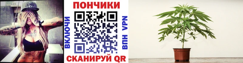 купить наркоту  ссылка на мегу зеркало  Шишки марихуана Bruce Banner  Нарьян-Мар 